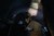 Offspring H